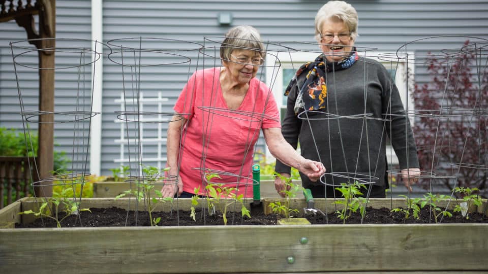 Two residents tending to a garden