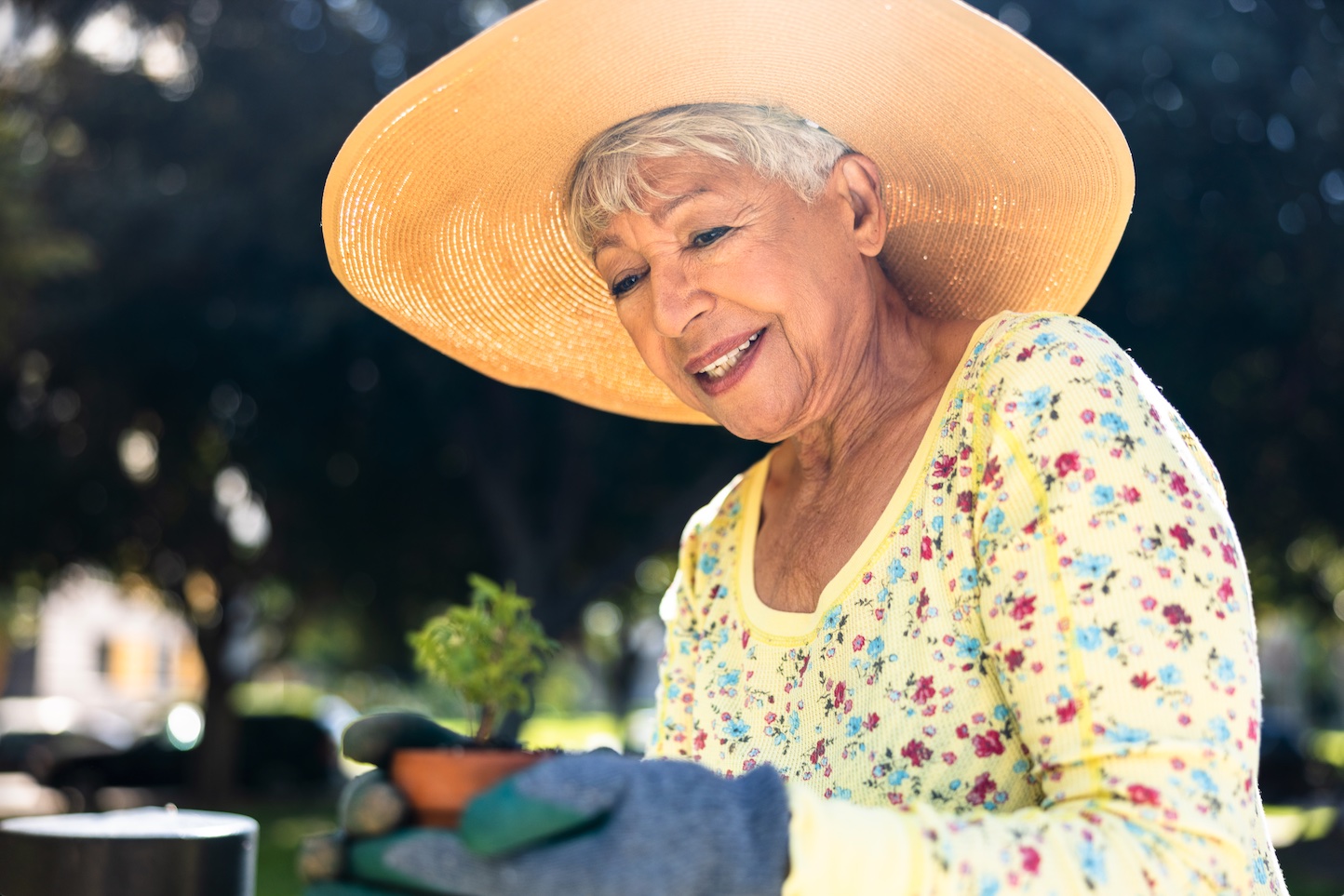 Senior woman gardening outdoors in the sunshine