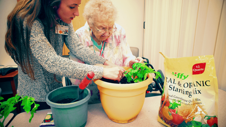 Residents and staff planting in a common area