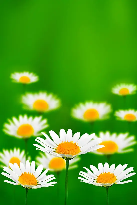 All Seasons Home Care – San Jose