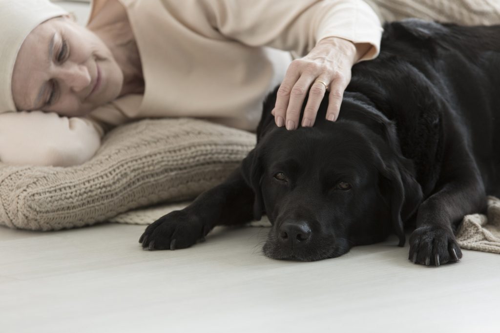 Senior woman enjoying time with a black dog.