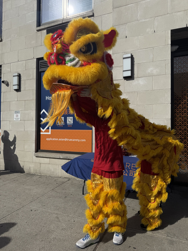 Lion dance performance outside a building