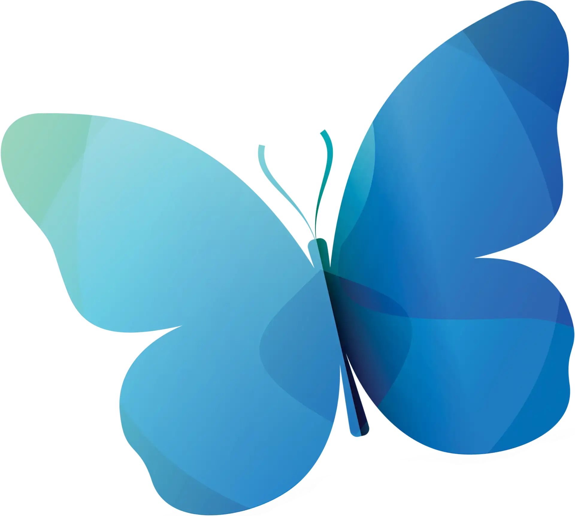 Bristol Hospice – Georgia