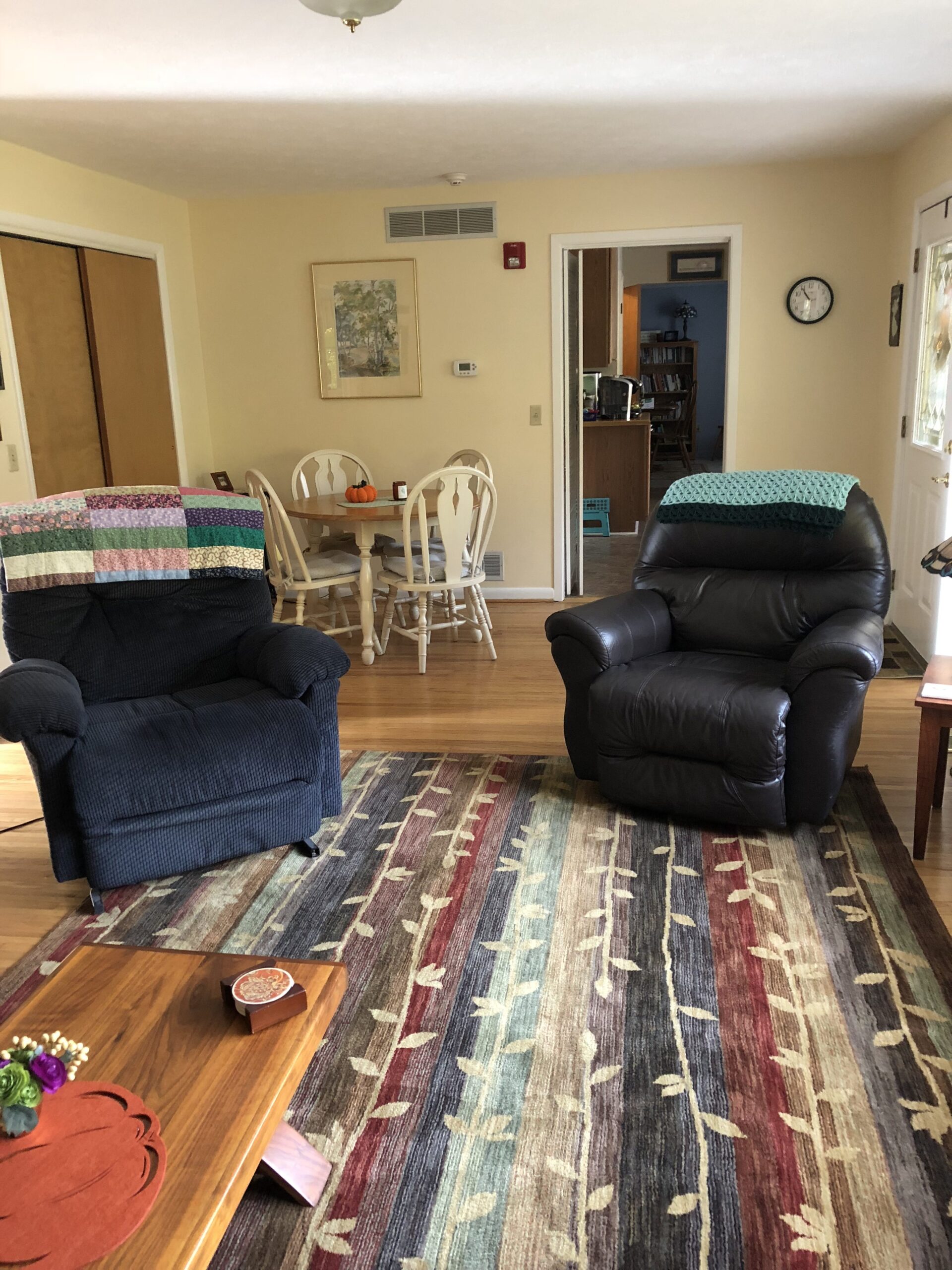 Cozy living room with armchairs and dining area