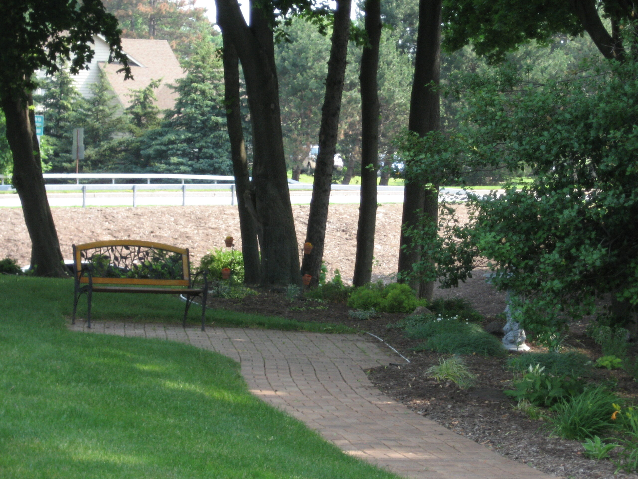 Pathway and bench in a green outdoor garden area