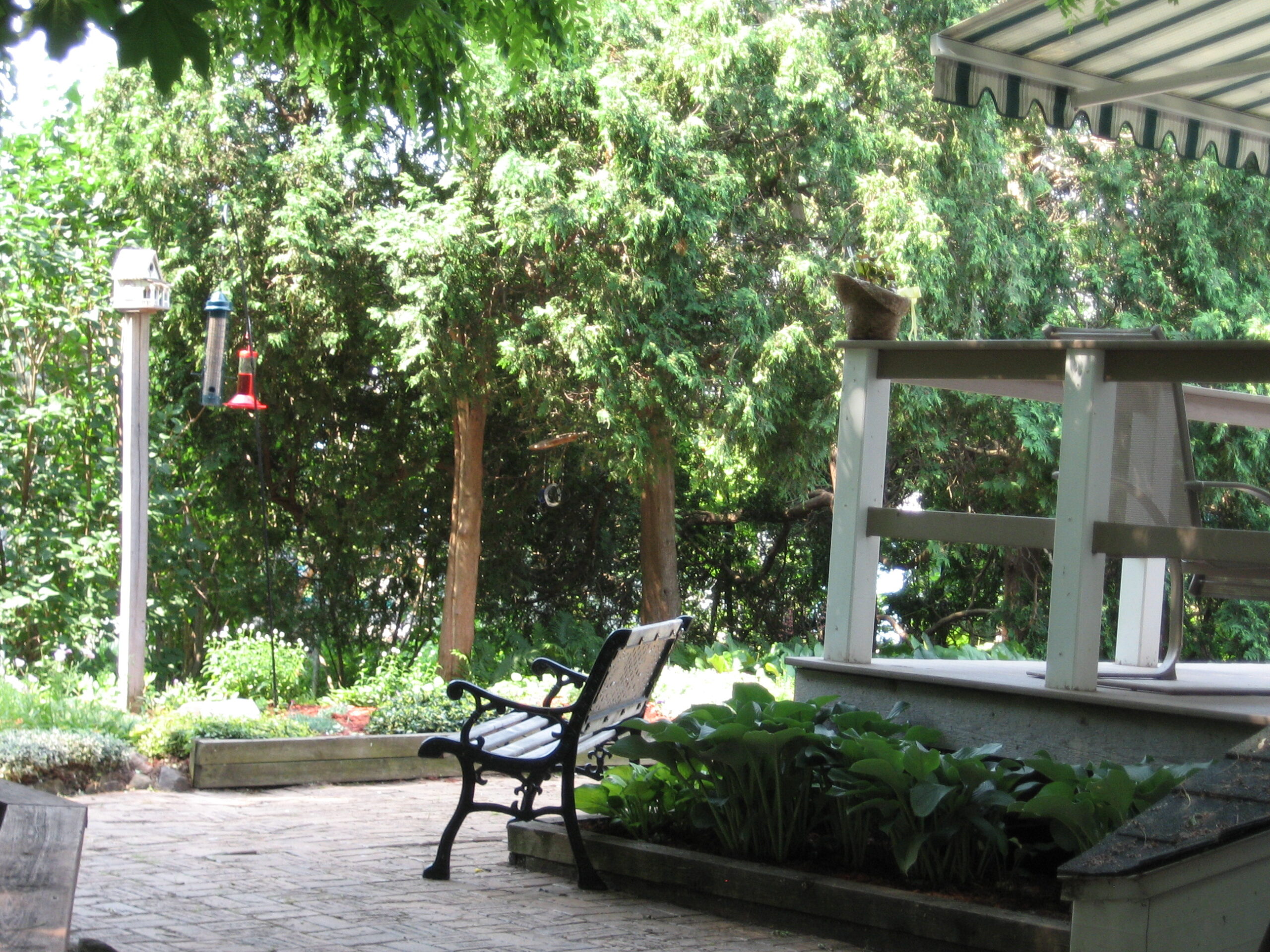 A peaceful outdoor seating area with greenery.