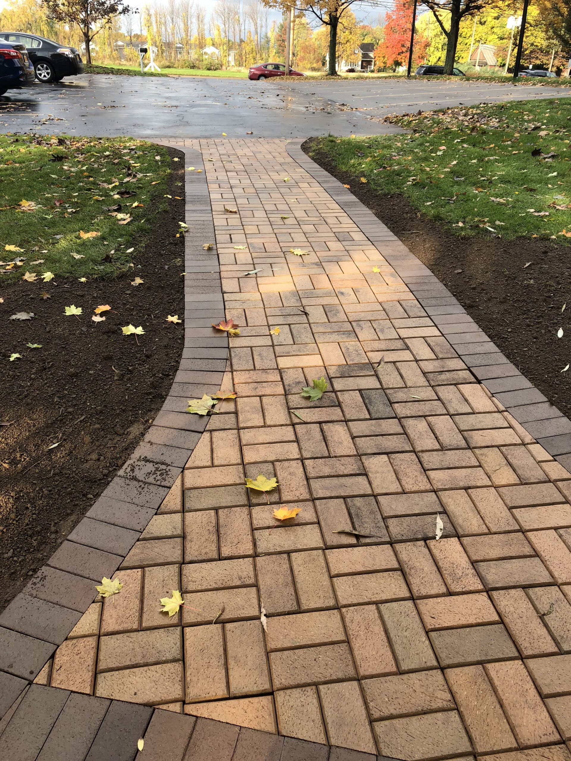Curved pathway lined with fallen leaves