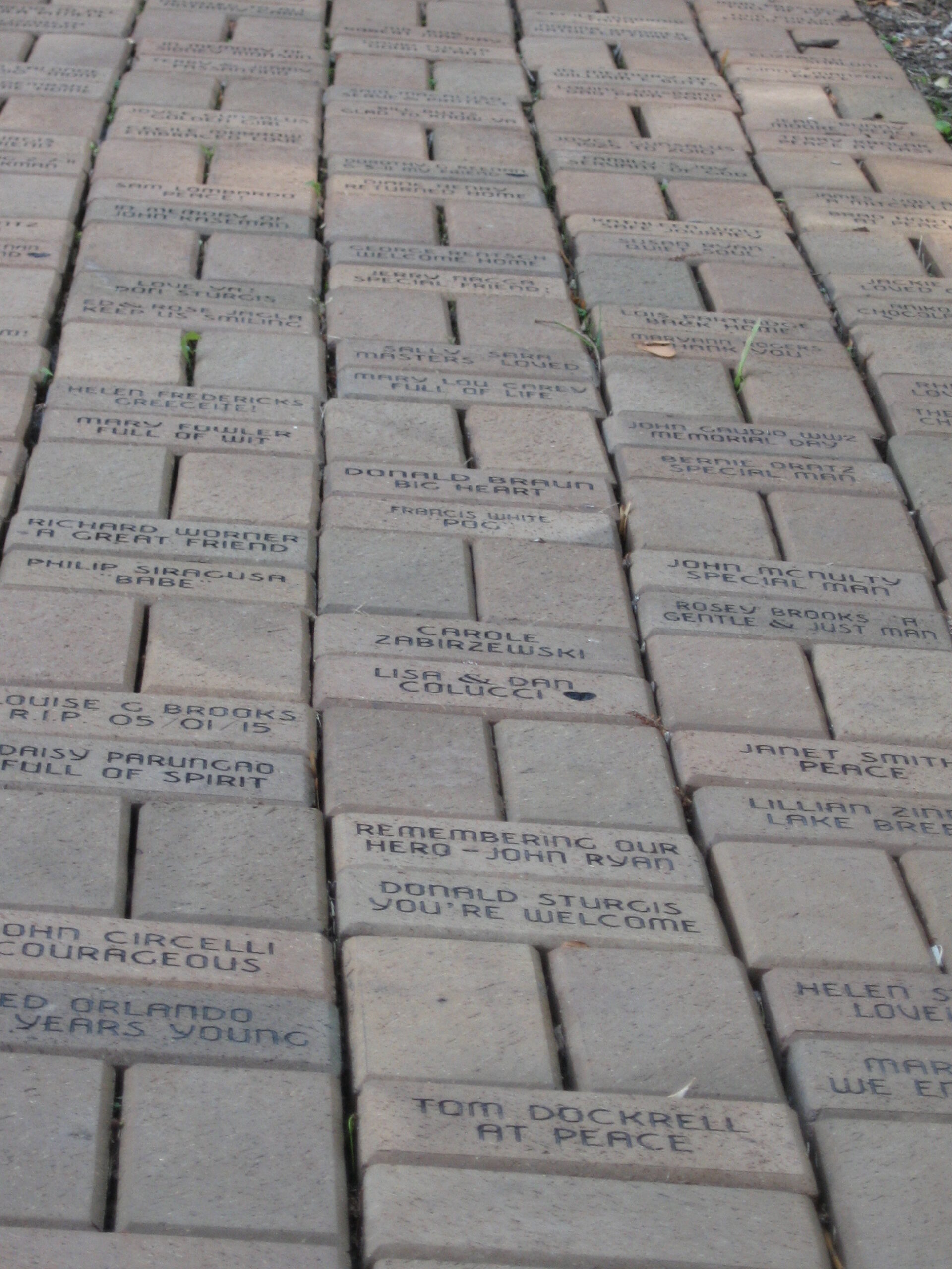 Paved path with engraved memorial bricks