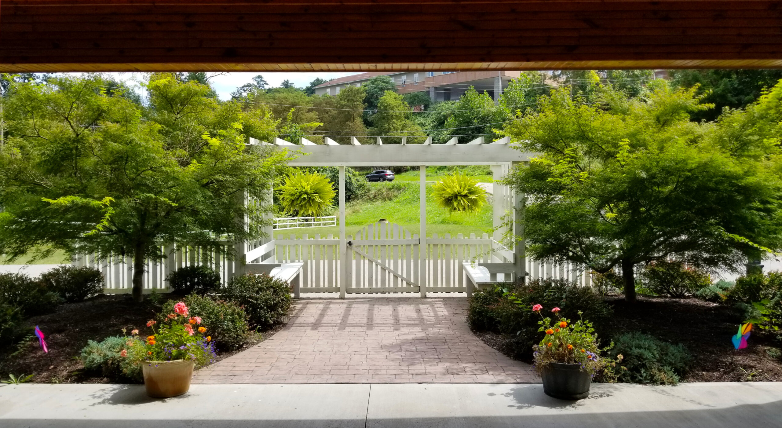 Well-maintained outdoor garden pathway