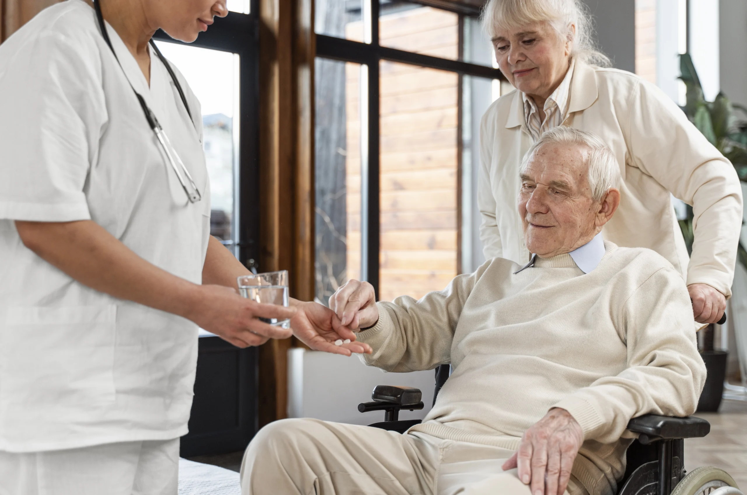 A caregiver assisting an elderly man in a wheelchair.