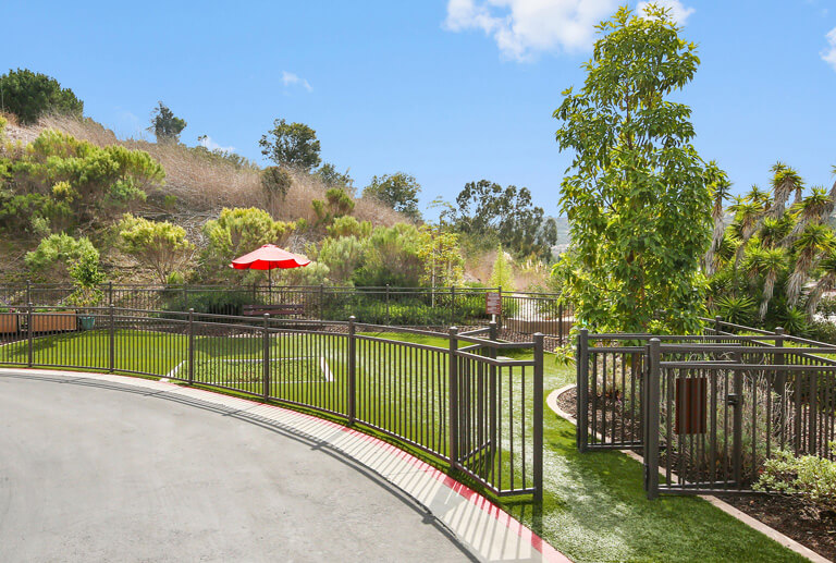 Outdoor space with a garden and seating area