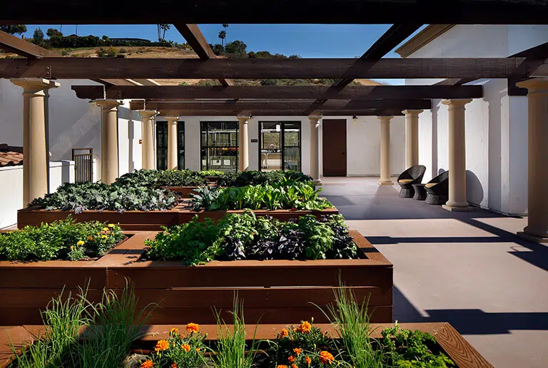 Raised garden beds in an outdoor space