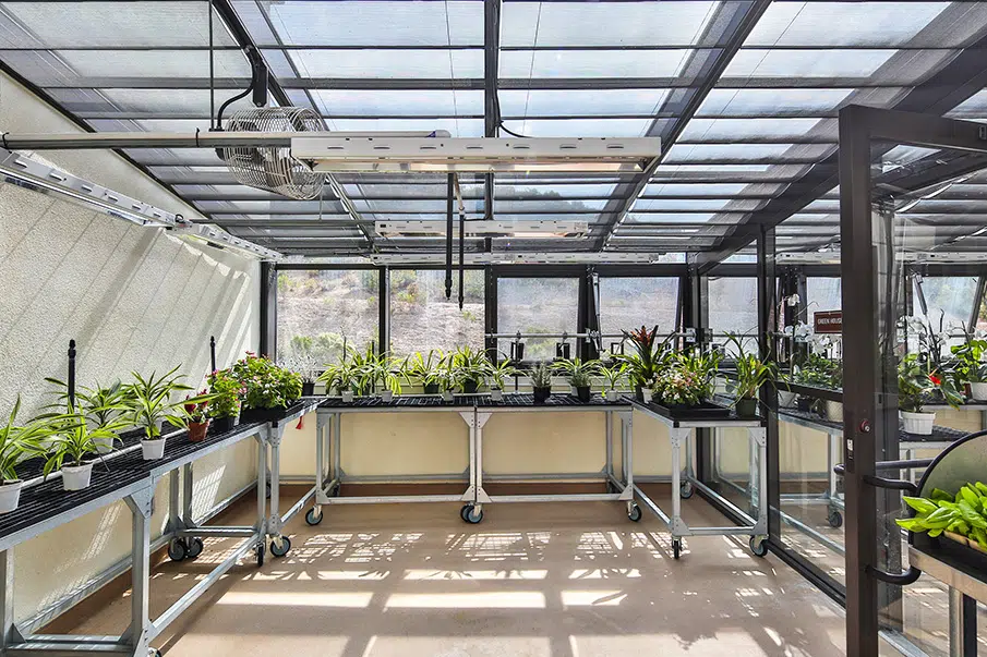 Greenhouse filled with various potted plants