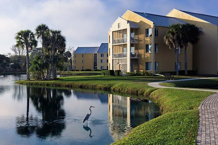 Building exterior with pond and palm trees