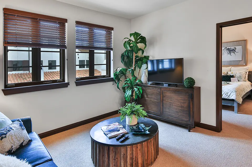 Bright interior of a living space with plants and furniture