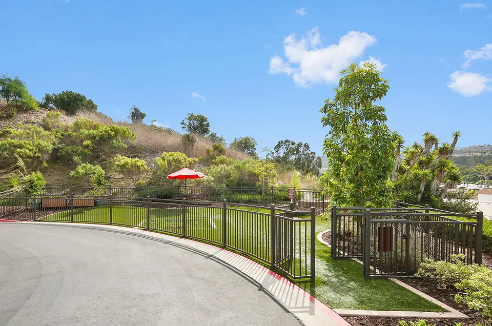 Outdoor garden area with fencing and seating