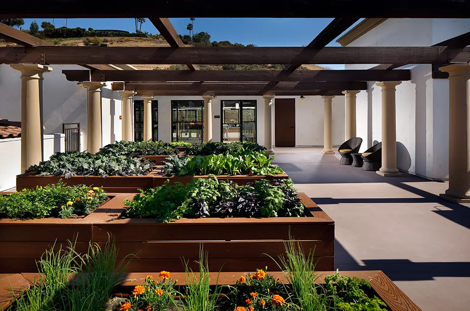 Raised garden beds in an outdoor space