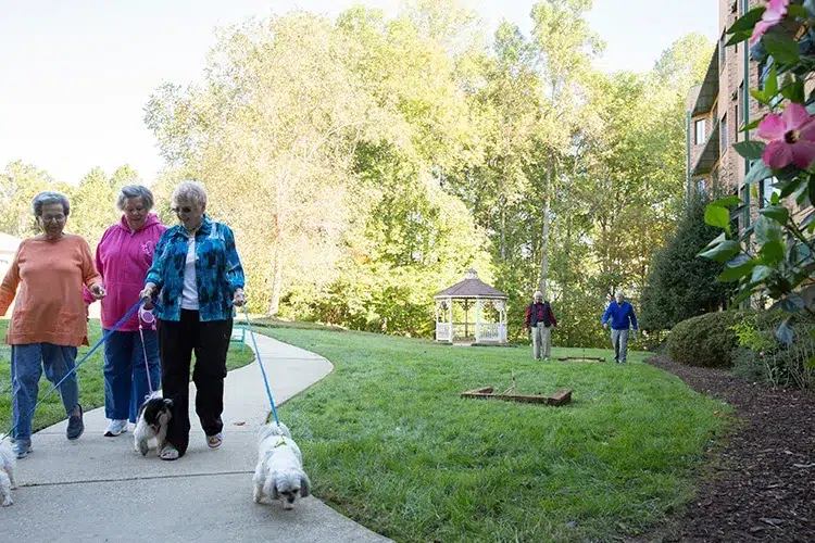 Residents walking dogs in a lush outdoor area