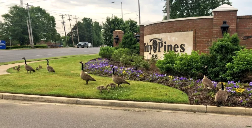 Kirby Pines LifeCare Community