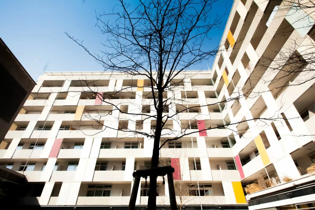 Maimonides-Zentrum GmbH