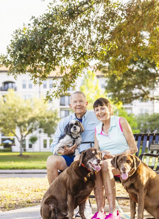 A couple sitting with their dogs in a park