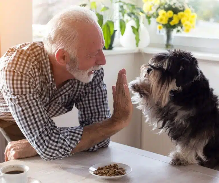 Senior man interacting with a dog at a table