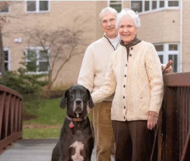 Senior couple and a dog on a bridge in the facility garden