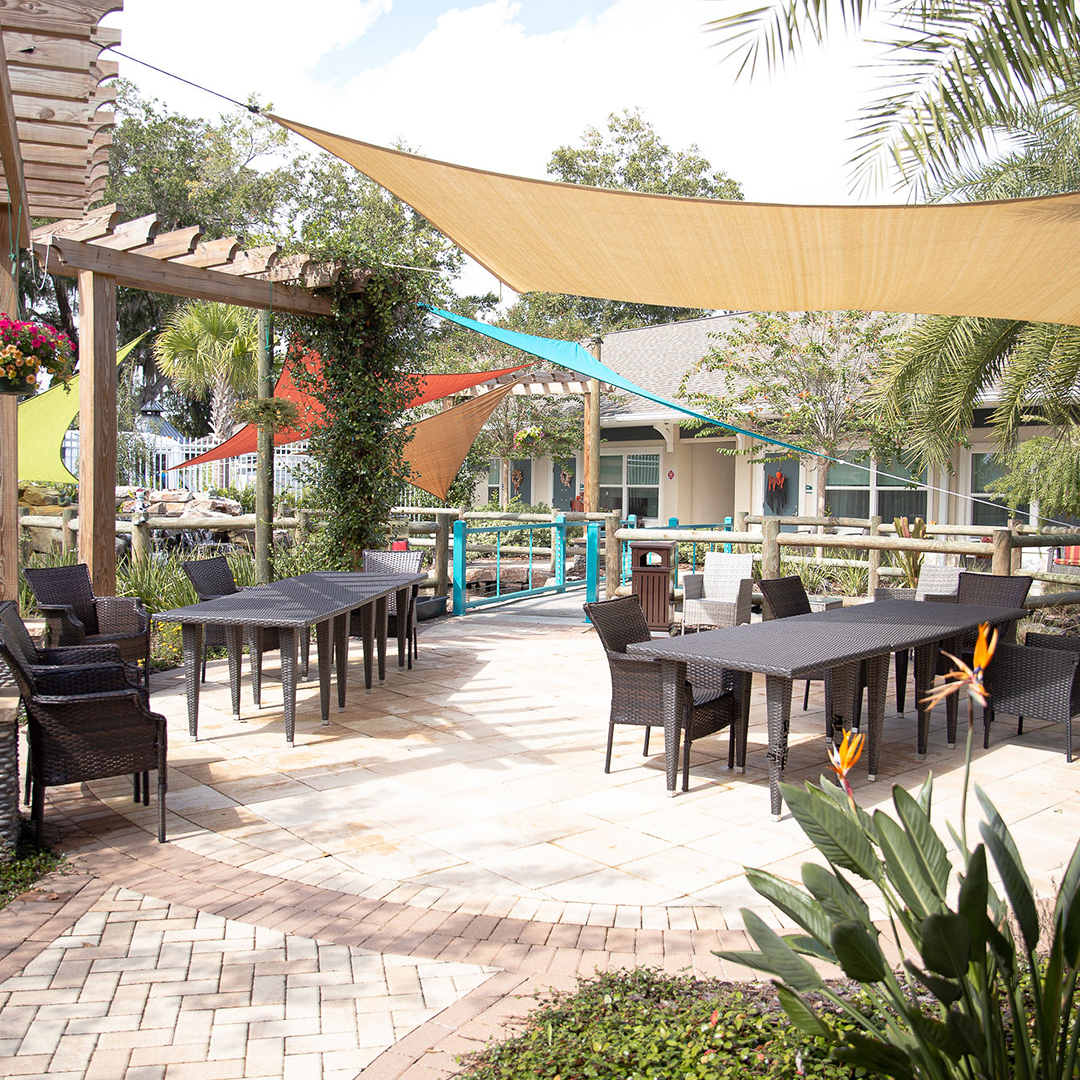Outdoor patio area with shaded seating