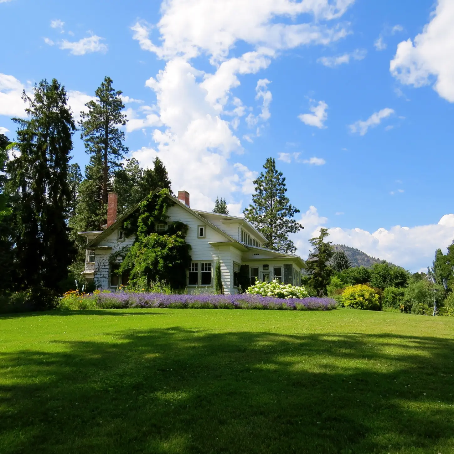 Exterior view of a facility surrounded by greenery.