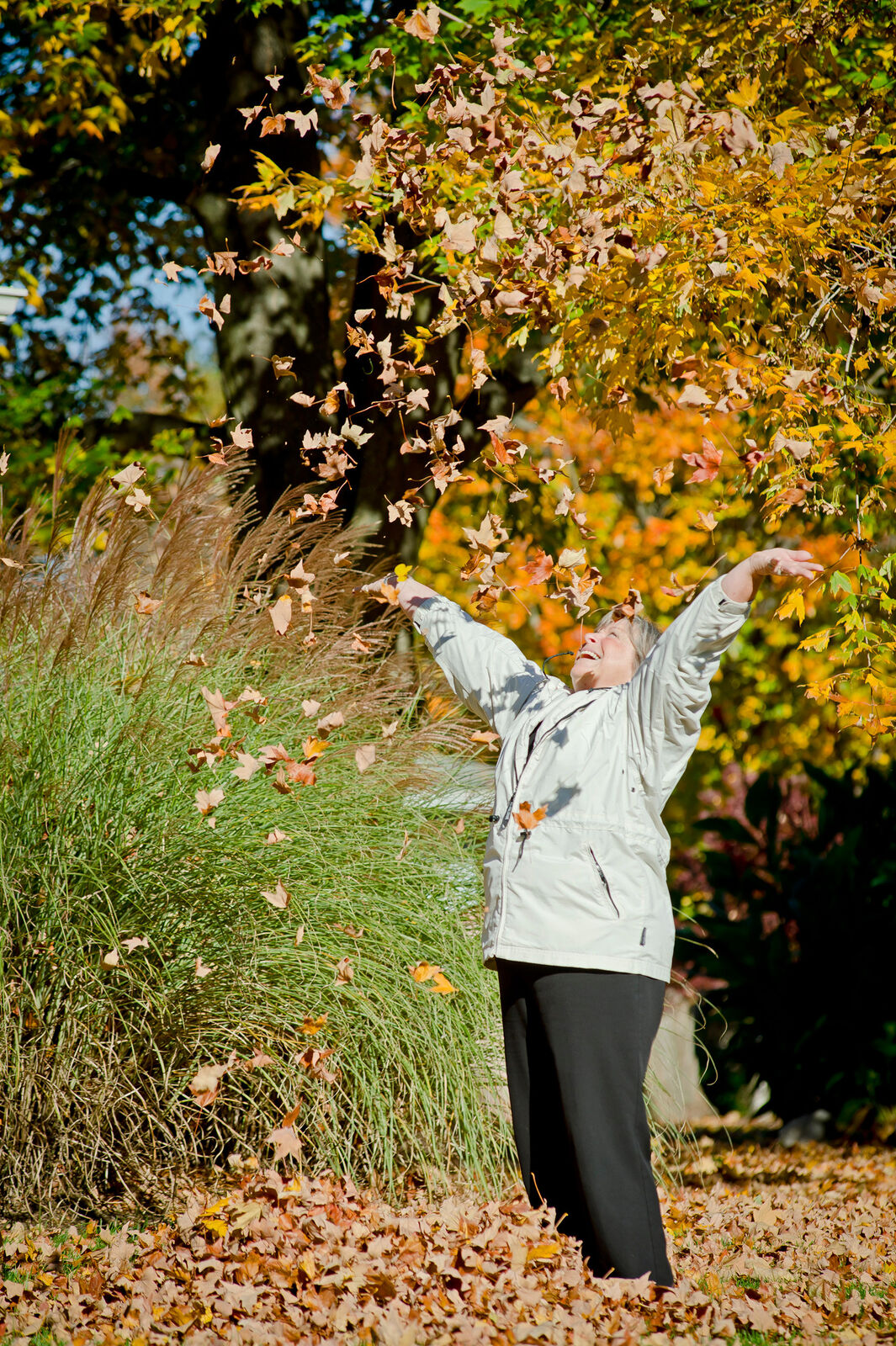 Resident enjoying autumn leaves in a garden