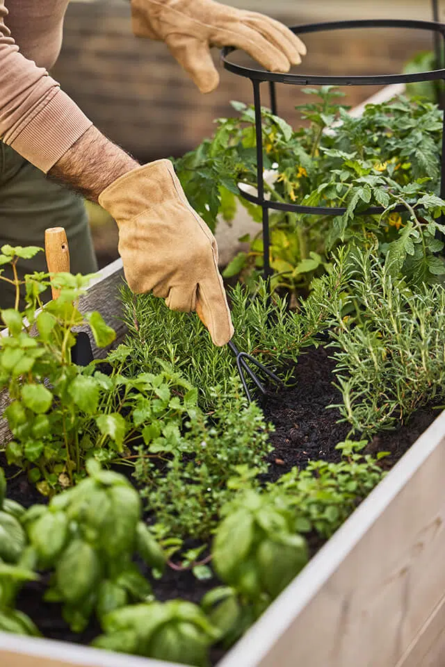 Hands gardening in a community garden area