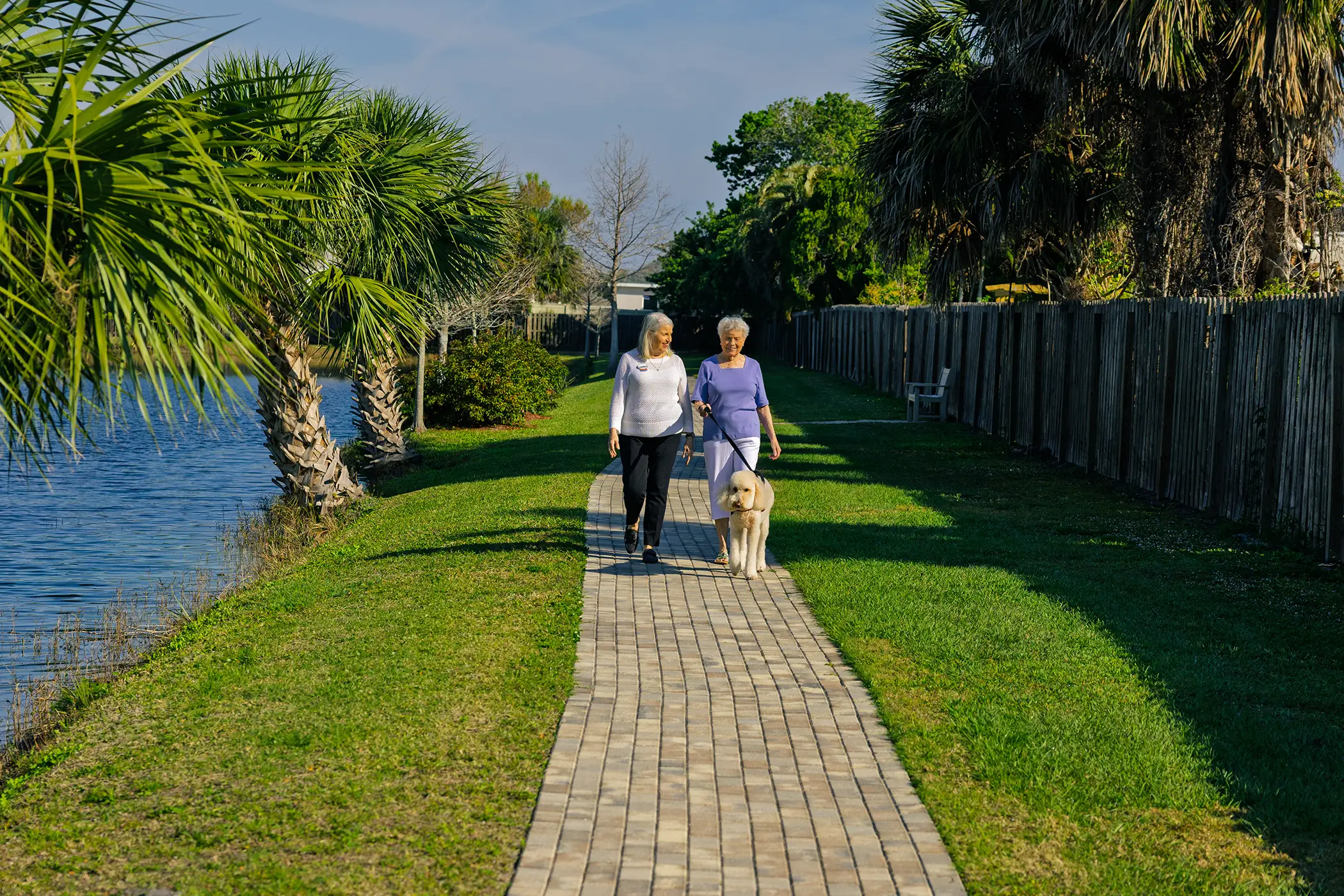 Residents walking a dog along a riverside path
