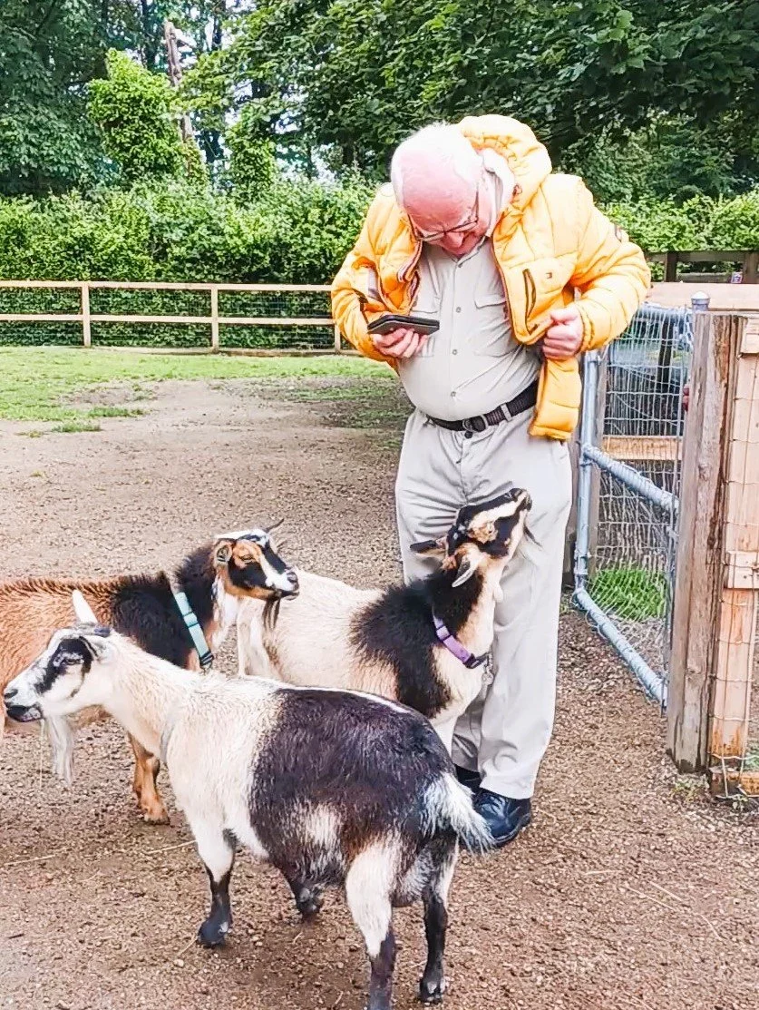 Resident interacting with goats in outdoor space.