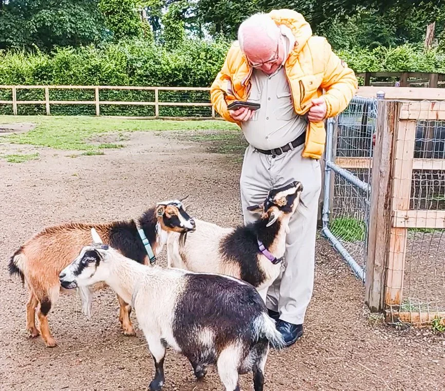 Resident interacting with goats in an outdoor space.