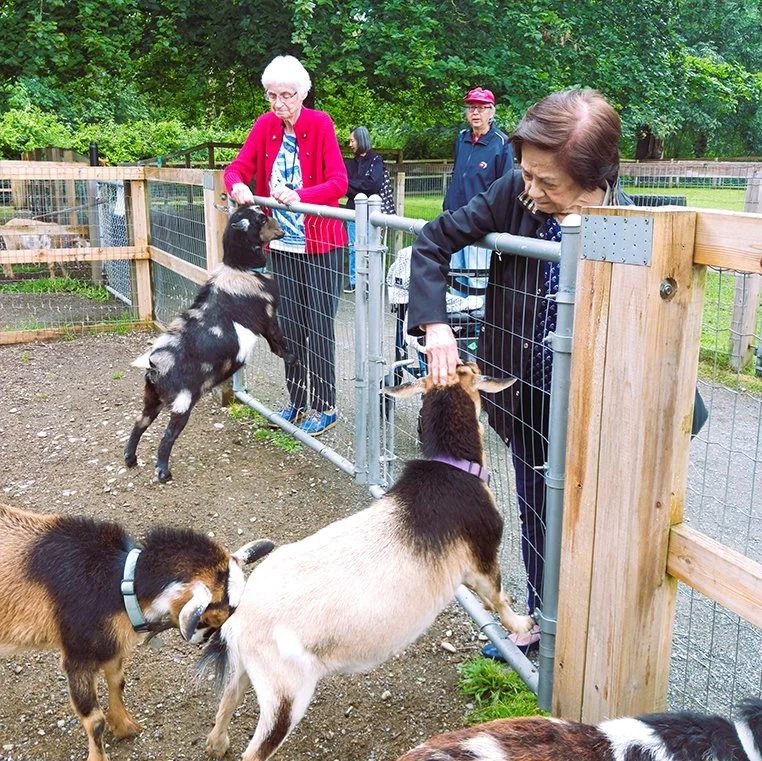 Residents interacting with goats in an outdoor setting.