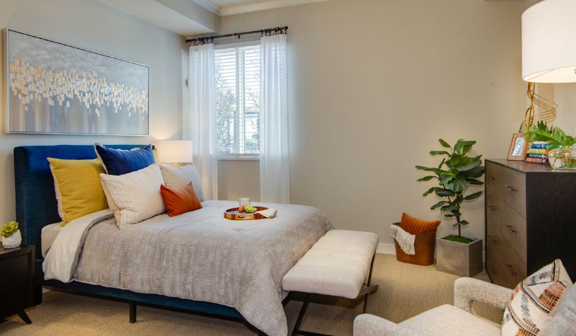 1 Bed