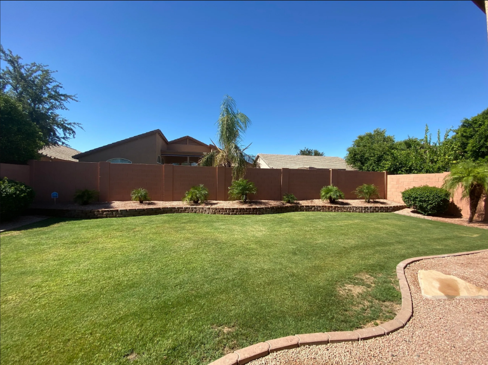 Well-maintained outdoor garden space with grass and landscaping