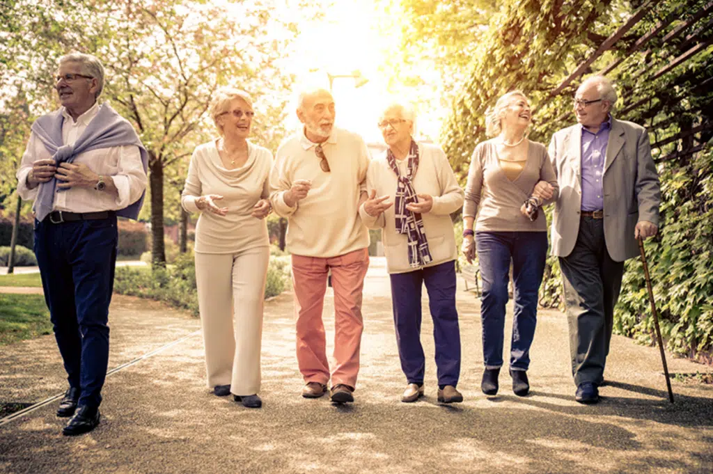 Group of seniors walking together in a sunny park