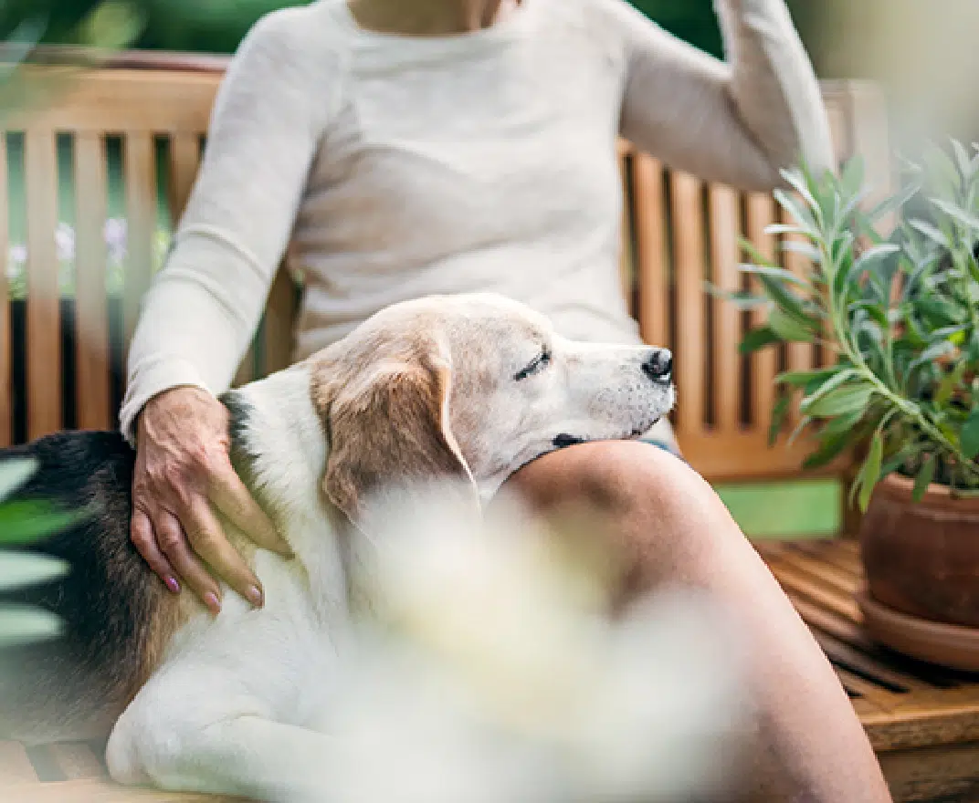 A woman sitting on a bench with her dog in a garden