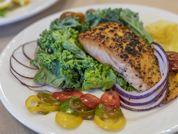A well-presented plate of salmon and vegetables