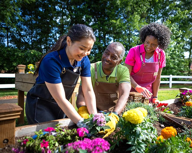 Residents and staff gardening together outdoors
