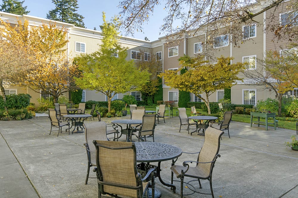 Outdoor courtyard with seating and greenery