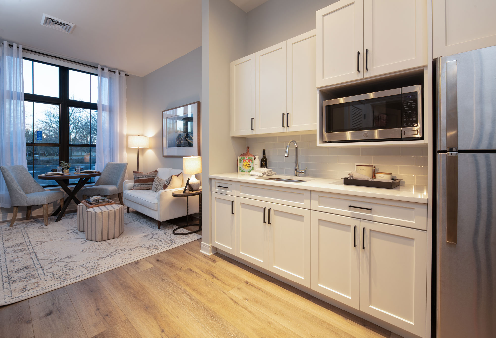 Modern kitchen and living room in a senior apartment