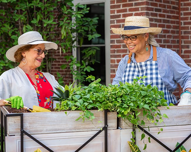 Residents gardening in a bright outdoor setting