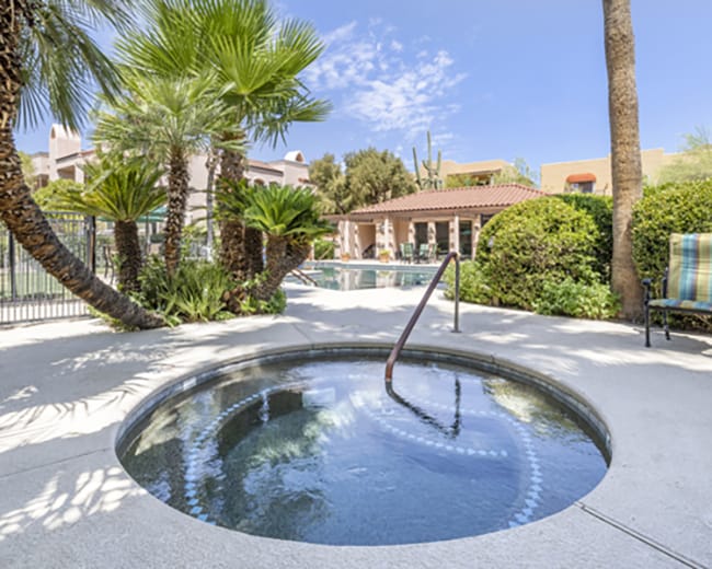 Hot tub surrounded by palm trees in an outdoor area