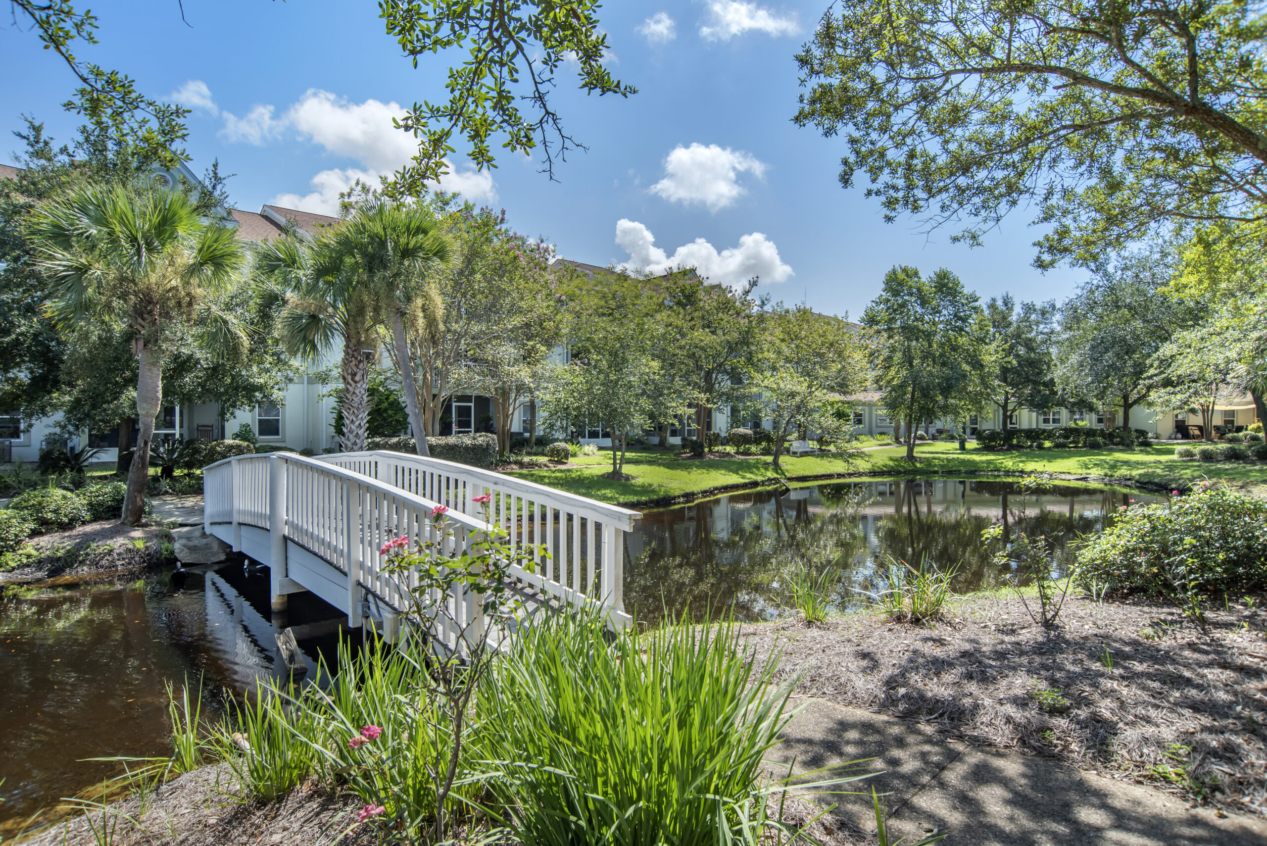 Serene outdoor view with a bridge over a pond