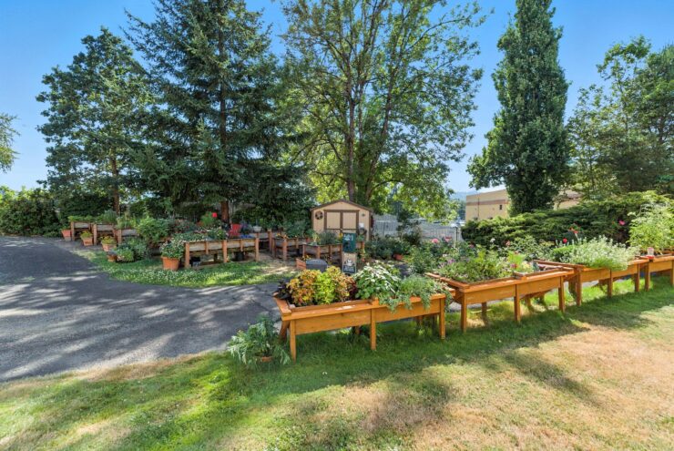 Community garden area with colorful plants and flowers.