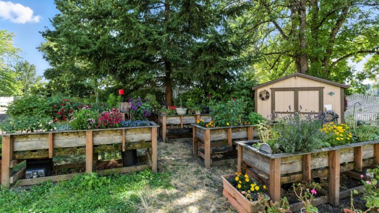 Outdoor garden with raised planting beds