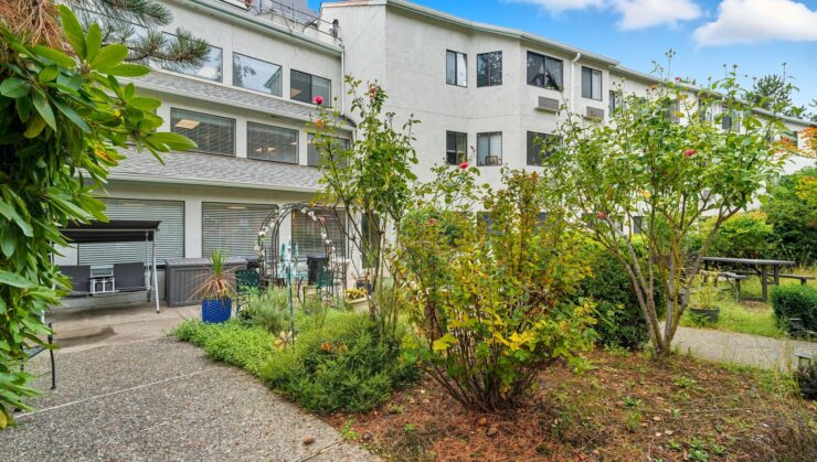 Outdoor garden area with greenery and seating