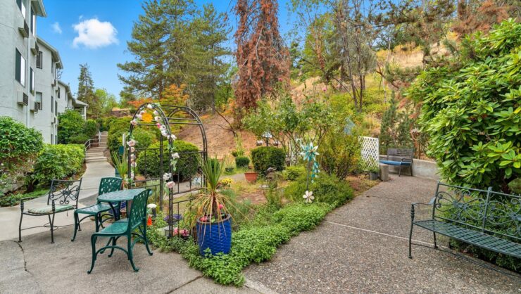 Outdoor garden space with seating and greenery
